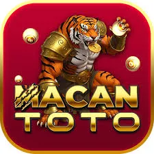 MACANTOTO - Aplikasi Flashcard Edukasi Terbaik untuk Pembelajaran Interaktif